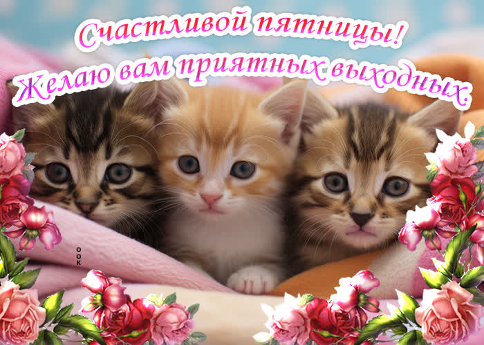 Postcard идеальная открытка желает приятной пятницы и чудесных выходных