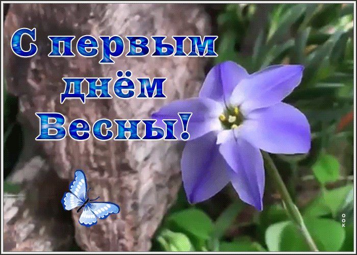 Картинка интересная открытка с первым днем весны