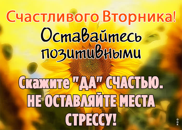 Picture искрящаяся открытка оставаться позитивным во вторник