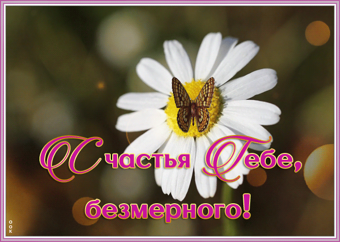 Картинка картинка безмерного счастья