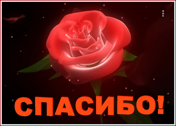 Открытка картинка большое спасибо
