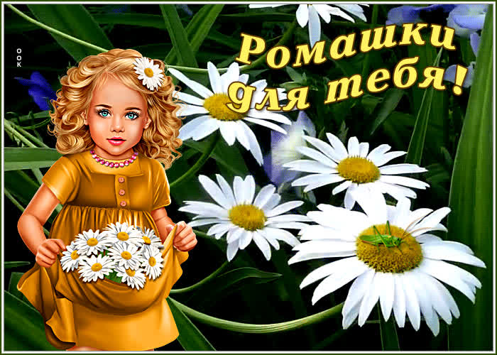 Картинка картинка букет ромашек
