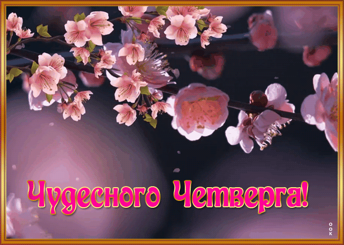 Открытка картинка чудесного четверга