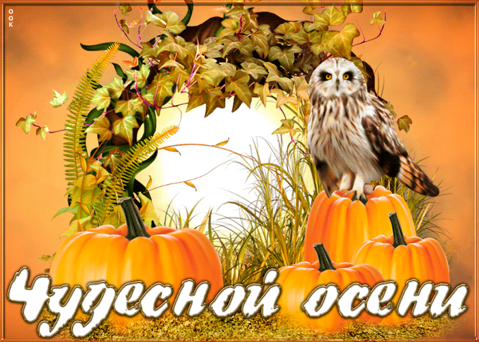 Картинка картинка чудесной осени