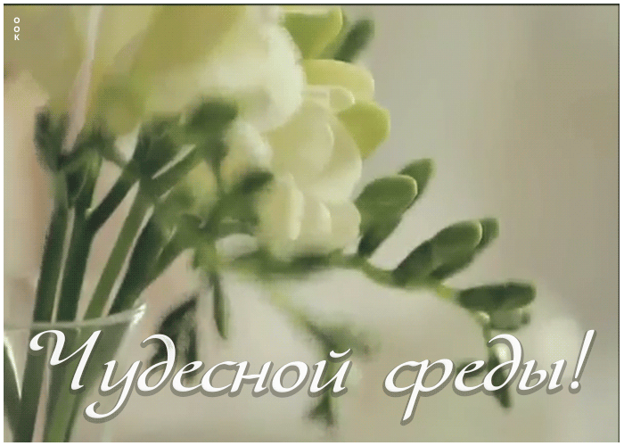 Открытка картинка чудесной среды