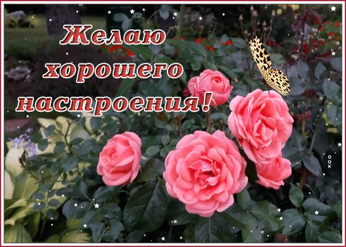 Картинка картинка для хорошего настроения с цветами