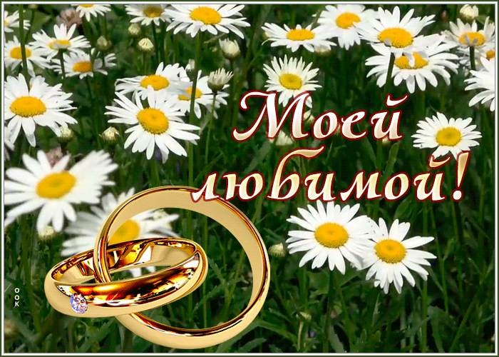 Picture картинка для моей любимой с ромашками