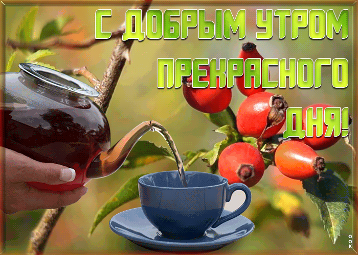 Картинка картинка доброе утро и прекрасного дня