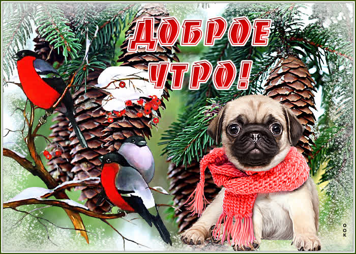 Картинка картинка доброе утро песик