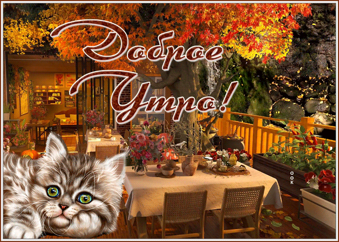 Postcard картинка доброе утро с котиком и осенью