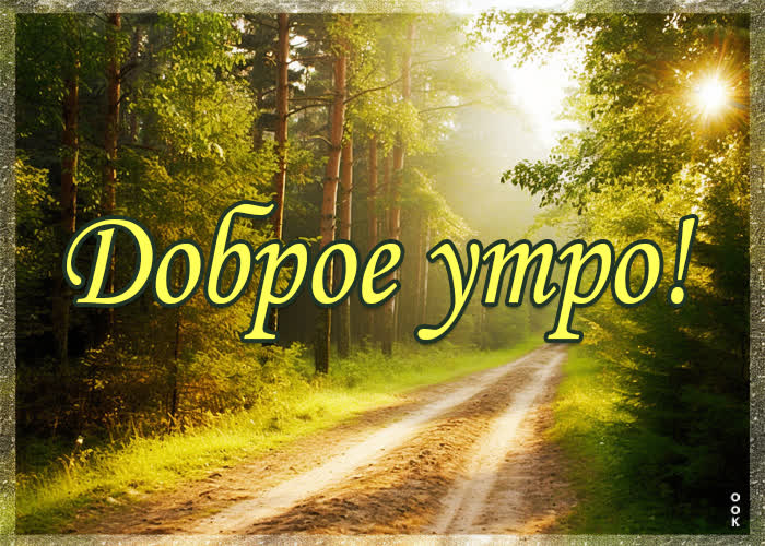 Picture картинка доброе утро с лесной тропинкой