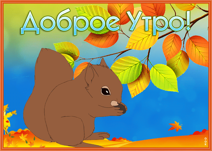 Postcard картинка доброе утро с милой белочкой
