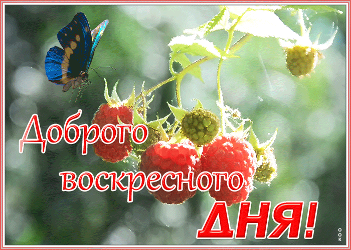 Открытка картинка доброго воскресенья