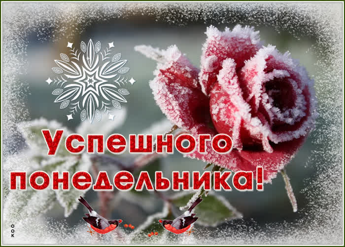 Открытка картинка доброго зимнего понедельника