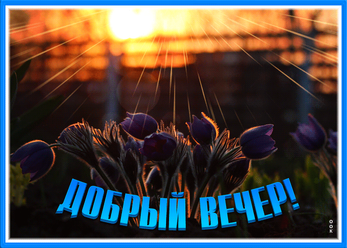 Postcard картинка добрый вечер с золотыми лучами