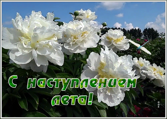 Картинка картинка гиф с наступлением лета