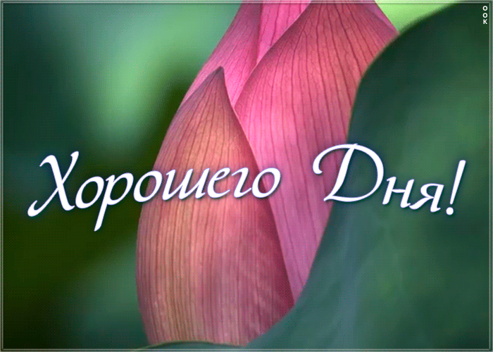 Открытка картинка хорошего дня женщине