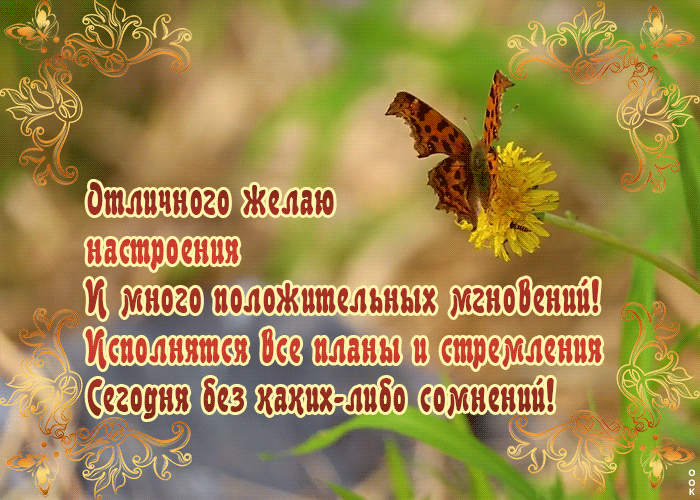 Картинка картинка хорошего настроения с пожеланиями