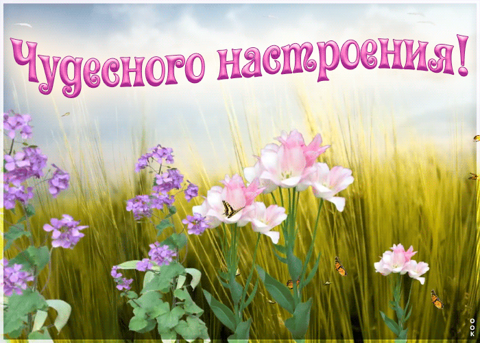 Открытка картинка хорошего настроения сегодня и всегда