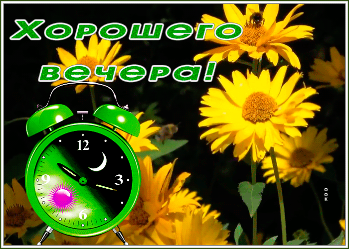 Картинка картинка хорошего вечера с очаровательными цветами