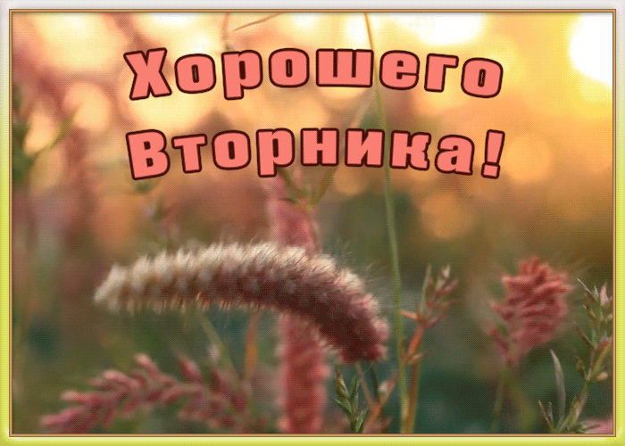 Картинка картинка хорошего вторника