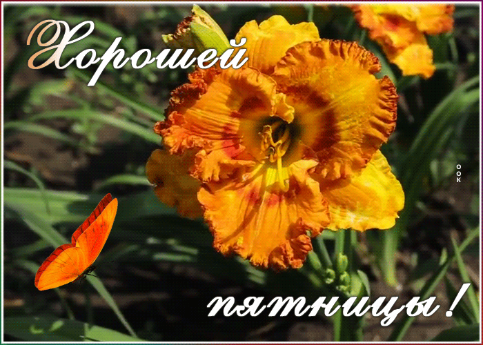 Открытка картинка хорошей пятницы