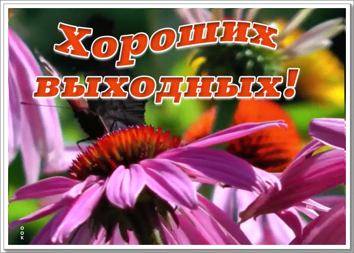 Картинка картинка хороших выходных с анимацией
