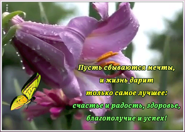 Картинка картинка лилии с надписью