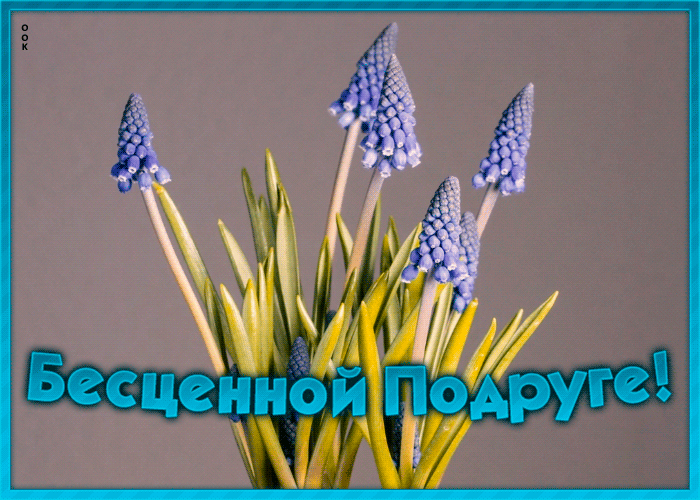 Картинка картинка лучшей подруге