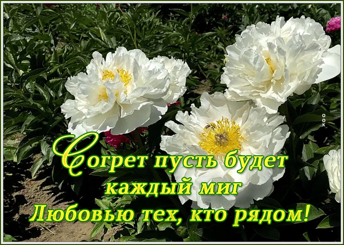 Картинка картинка любви и счастья