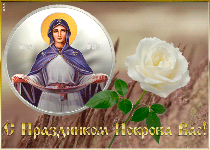 Открытка картинка на покров с розой