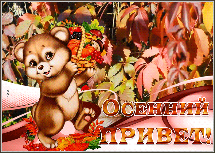 Postcard картинка осенний привет с мишкой