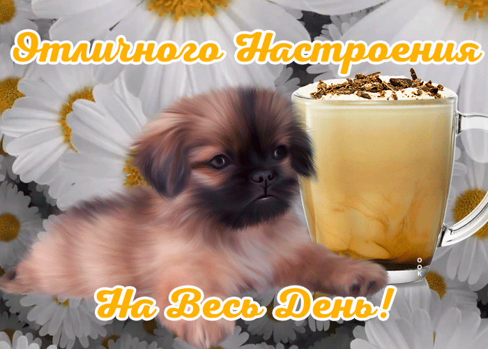 Открытка картинка отличного настроения на весь день