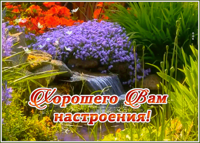 Открытка картинка прекрасного настроения