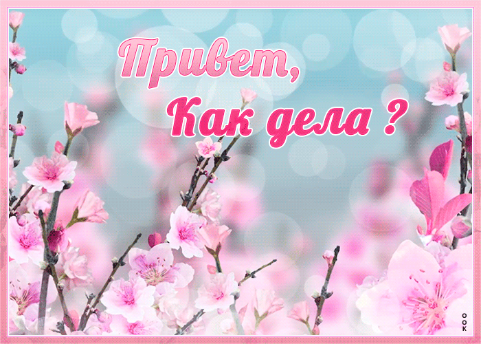 Открытка картинка привет как дела
