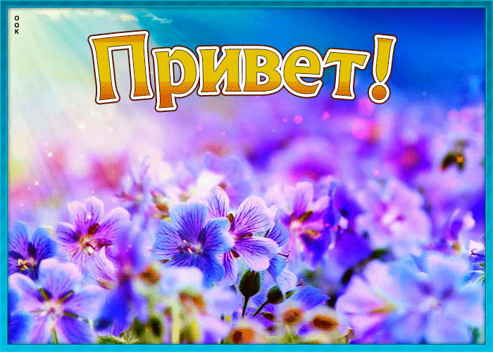 Картинка картинка привет с цветами