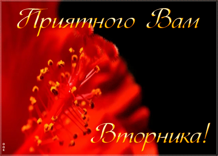 Открытка картинка приятного вторника