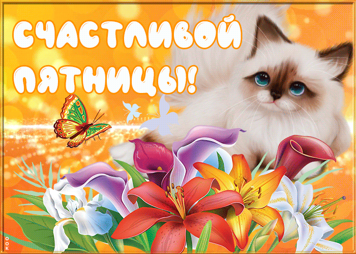 Картинка картинка приятной пятницы