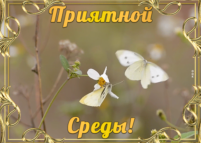 Картинка картинка приятной среды