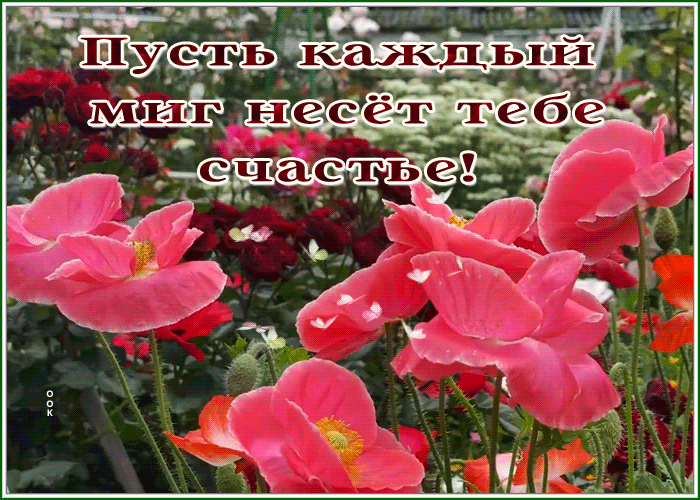 Postcard картинка пусть каждый миг несет тебе счастье