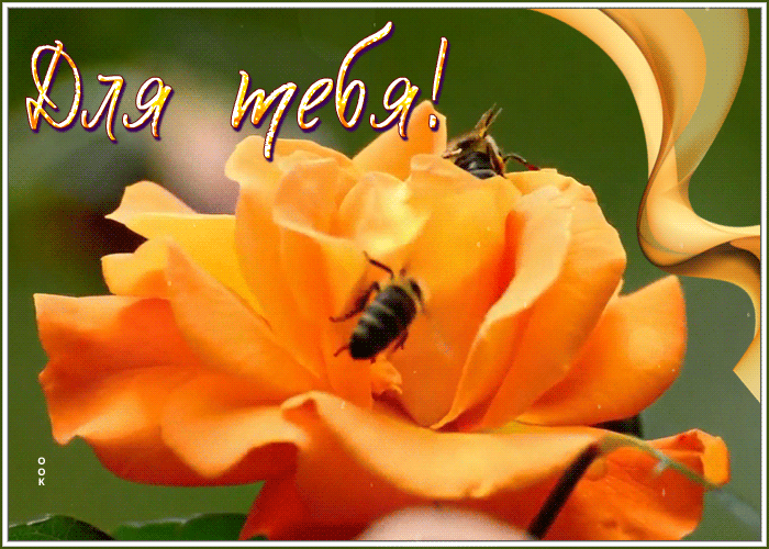 Picture с цветами
