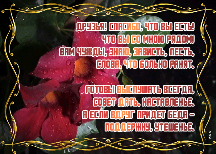 Картинка картинка с красными цветами для друзей
