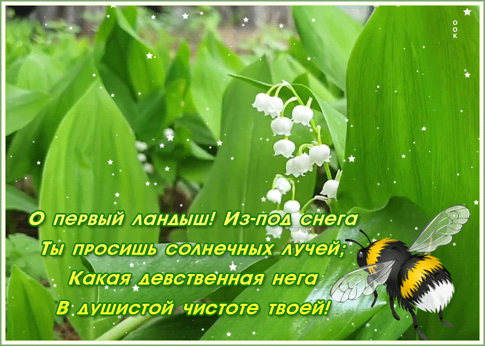 Картинка картинка с ландышами с надписью