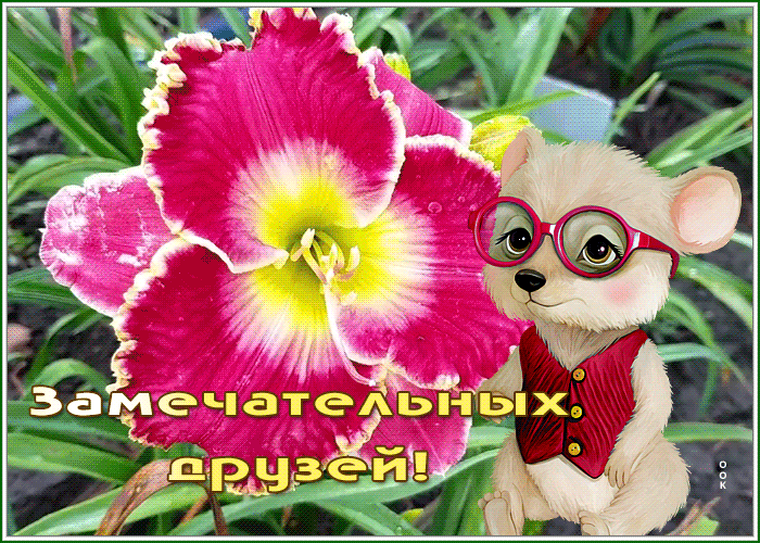 Postcard картинка с пожеланием замечательных друзей