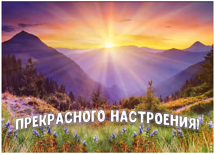Картинка картинка с пожеланием прекрасного настроения