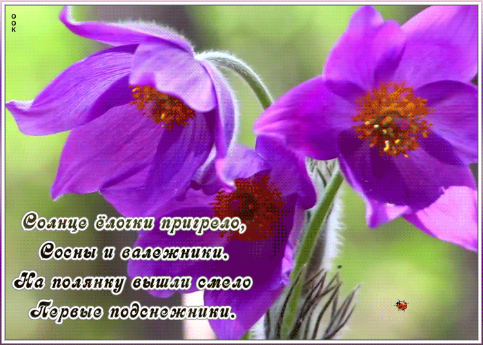 Картинка картинка с весной с надписью
