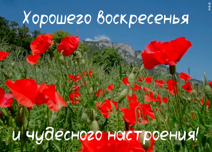 Картинка картинка с воскресеньем для поднятий настроения