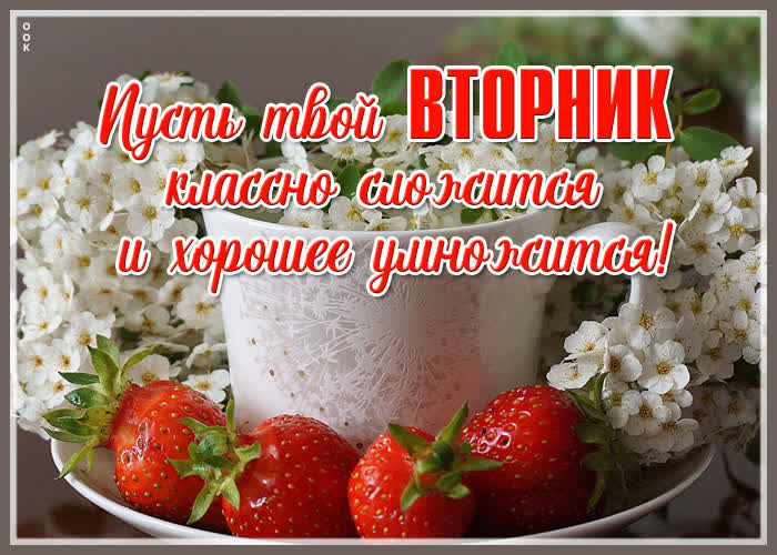 Открытка картинка с вторником с надписью