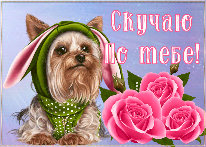Открытка картинка скучаю с собачкой