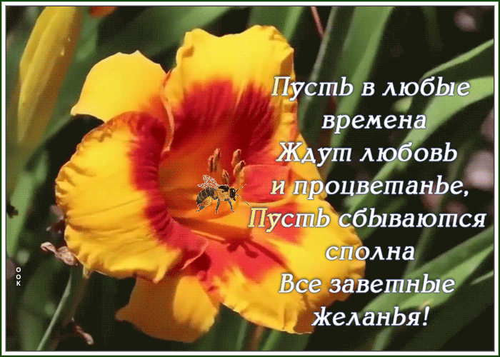 Открытка картинка со светлым пожеланием
